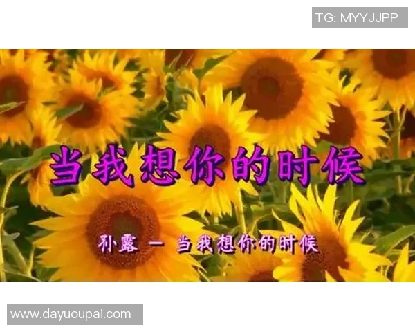 贵州姚明山歌的悠扬旋律与多彩文化交融之旅